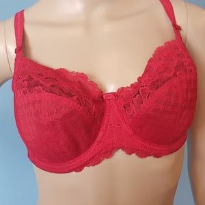 Panache Envy Bra 34E (34DDD)